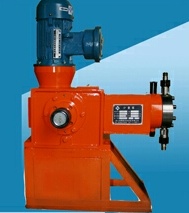 JZM��ĤӋ����