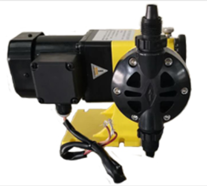 �ɹ�����